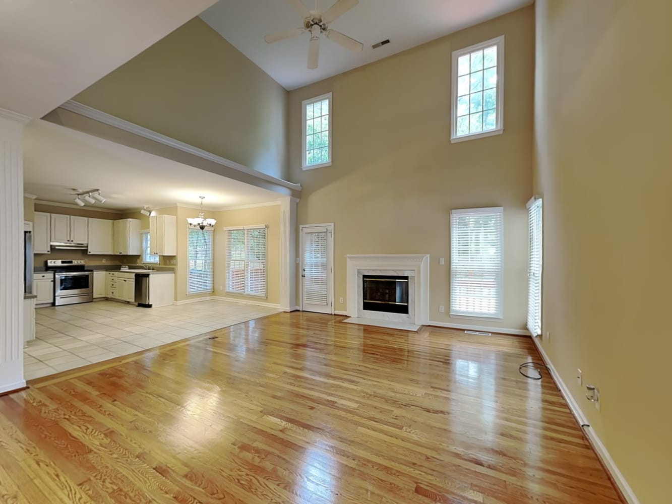 401 Loblolly Dr photo 5