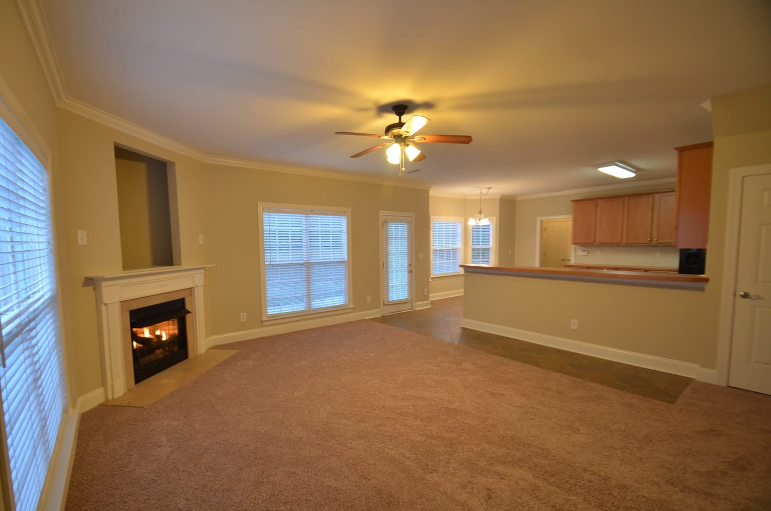 2010 Sentinel Dr photo 2