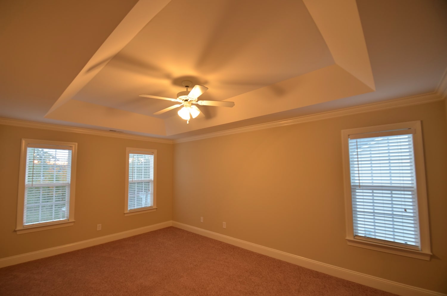 2010 Sentinel Dr photo 5