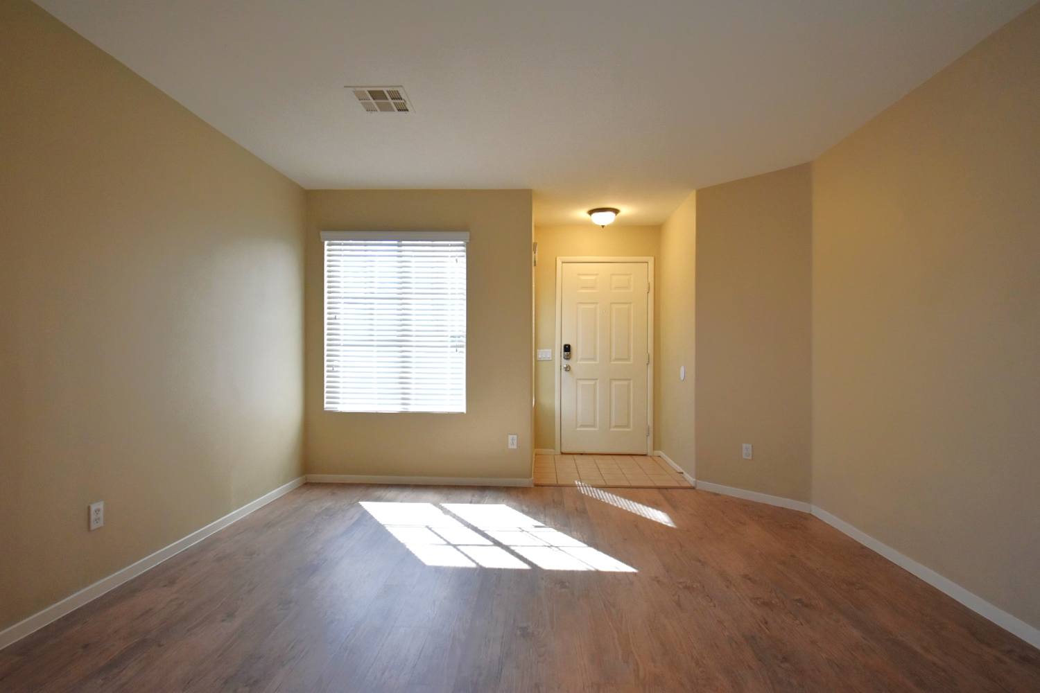 10922 Coppola St photo 2