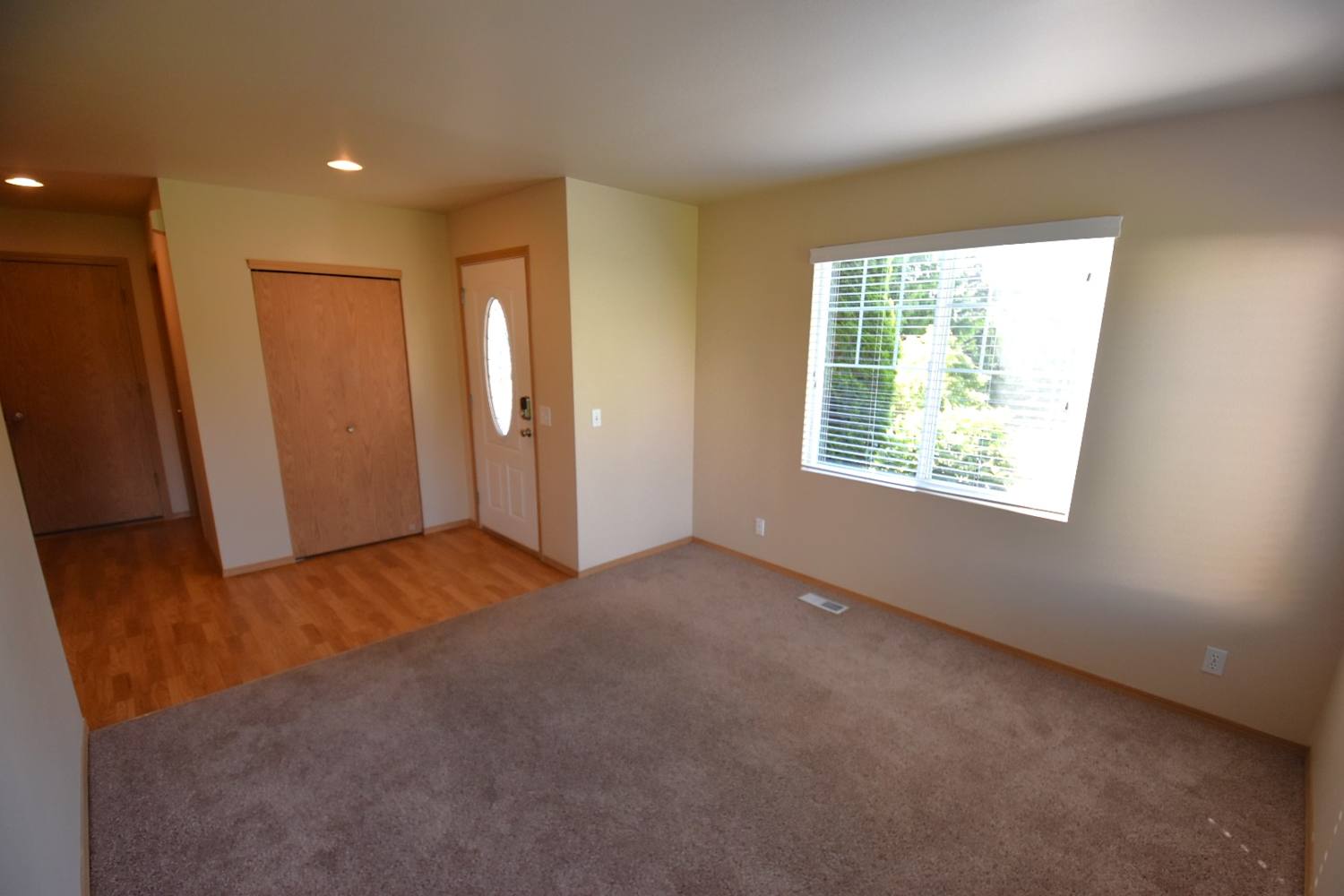 126 Forest Ct photo 2