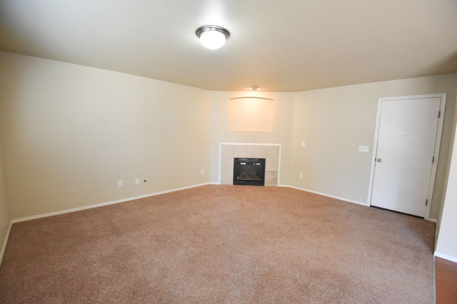 15911 67th Avenue Ct E photo 3