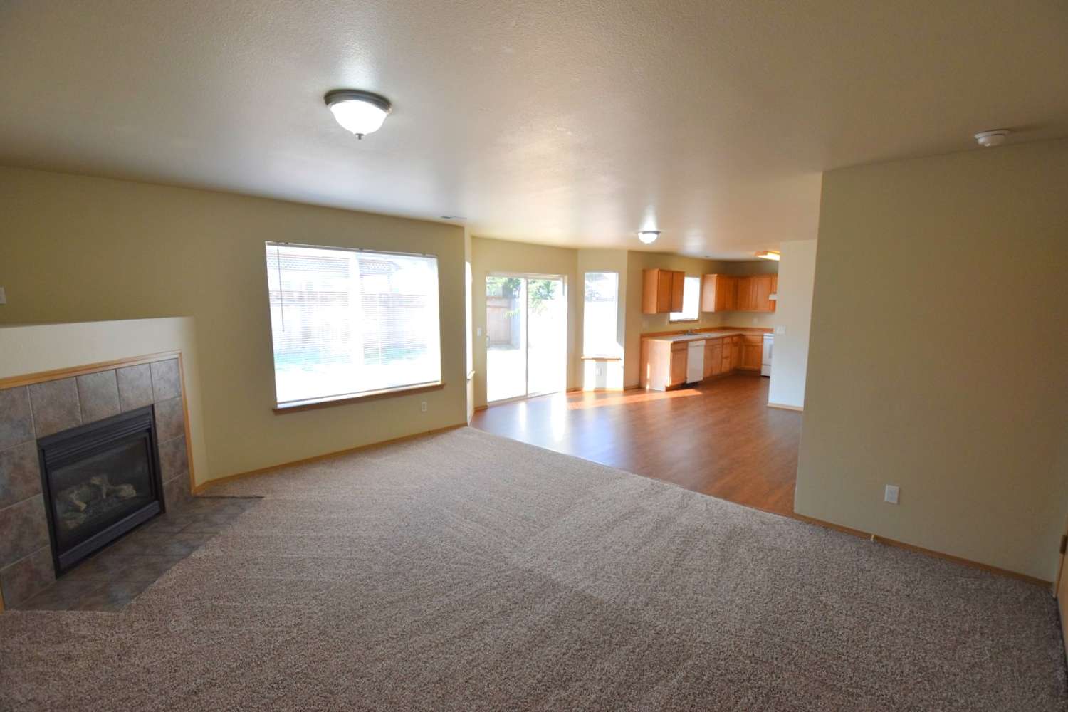 1220 202nd Street Ct E photo 3