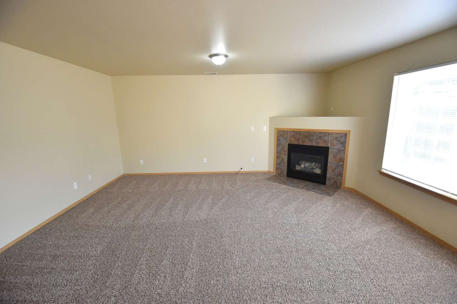 1220 202nd Street Ct E photo 2