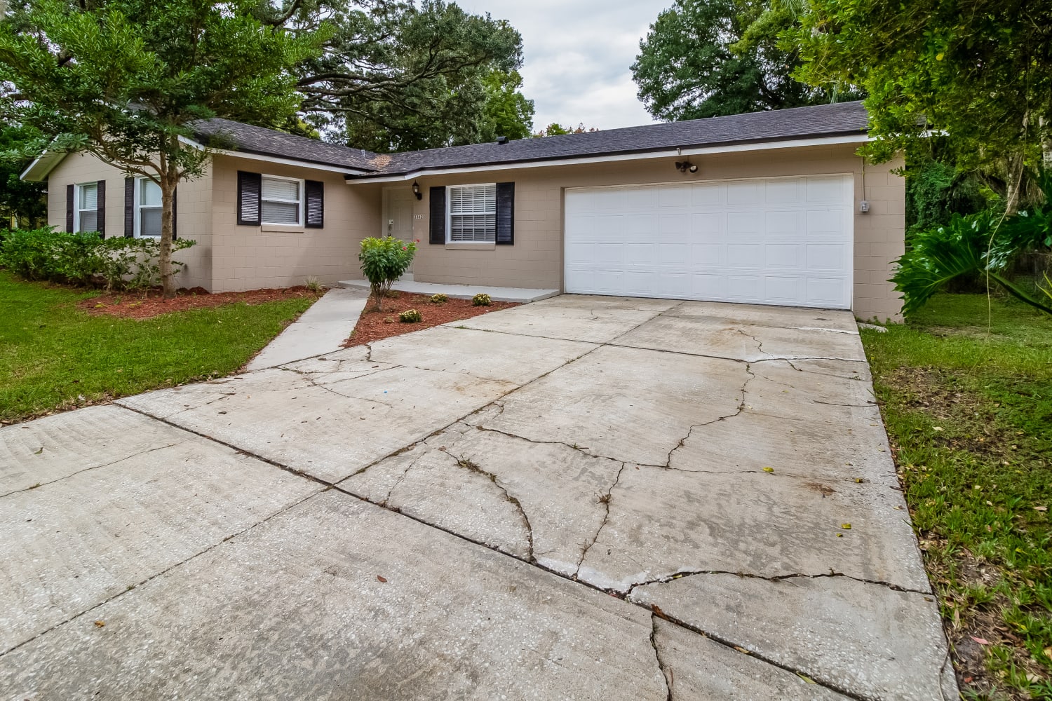 3362 Bougainvillea Dr photo 3