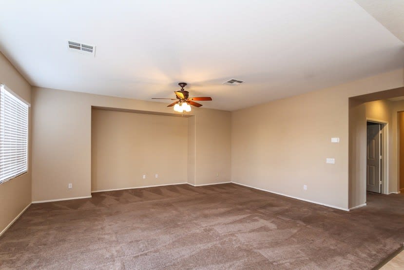 3599 Bufflehead St photo 5