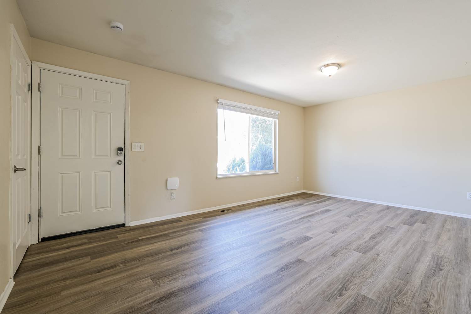 3891 Jackson Way photo 5