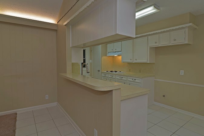 3902 Paulette Dr photo 5