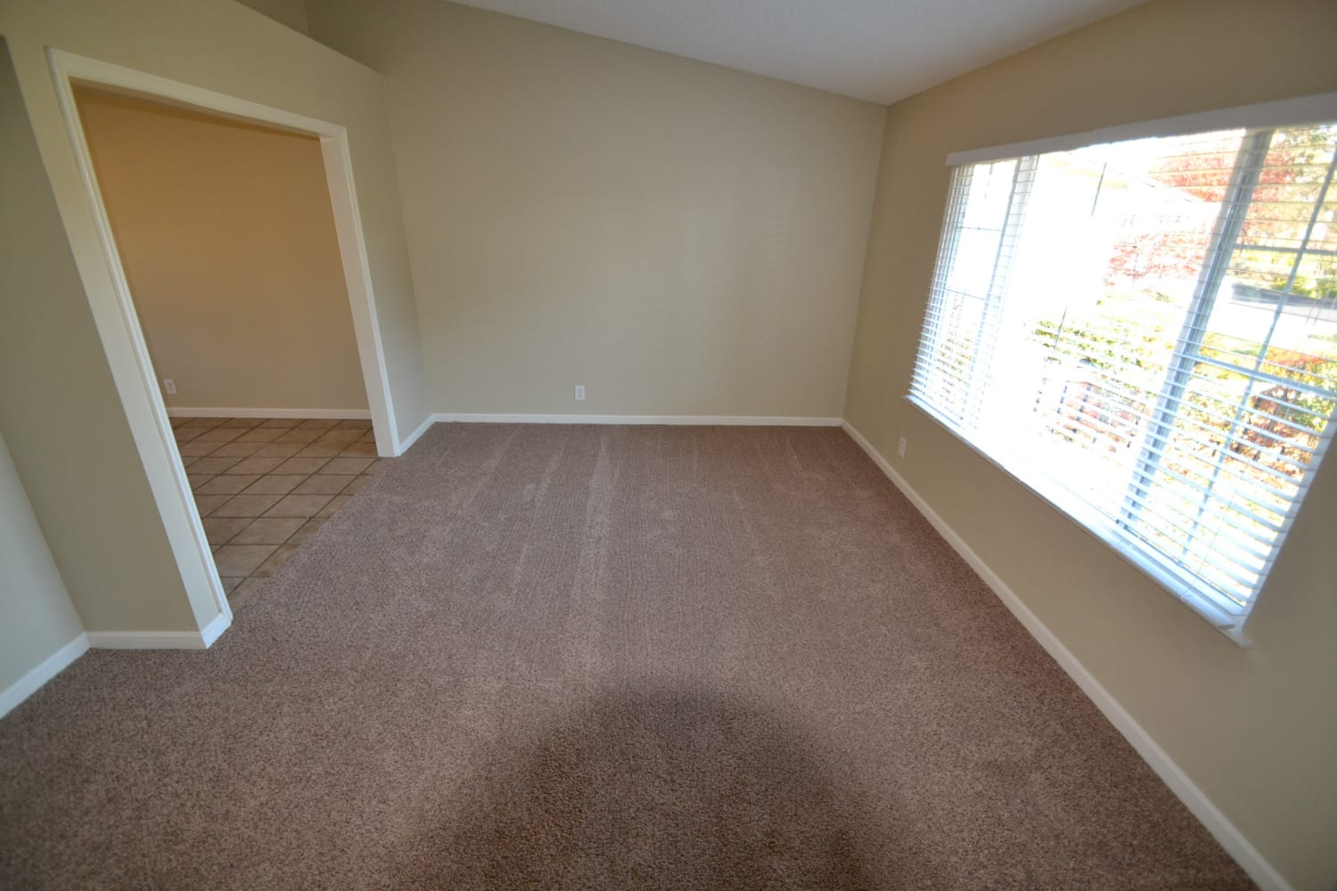 131 Bel Air Dr photo 3