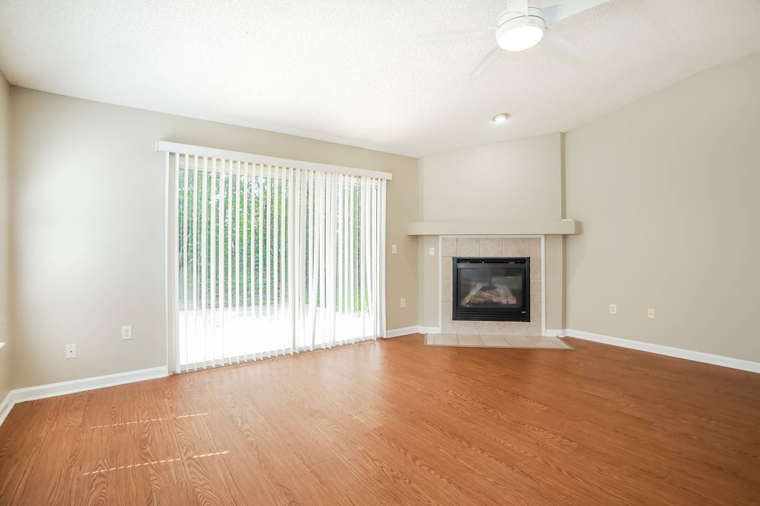 1807 Moss Creek Dr photo 4