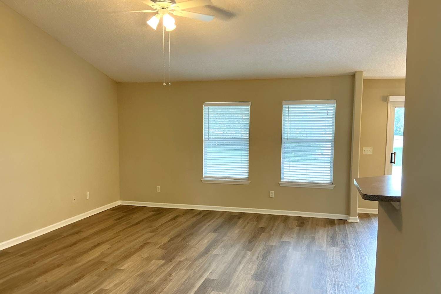 6886 Wall Springs Dr photo 3