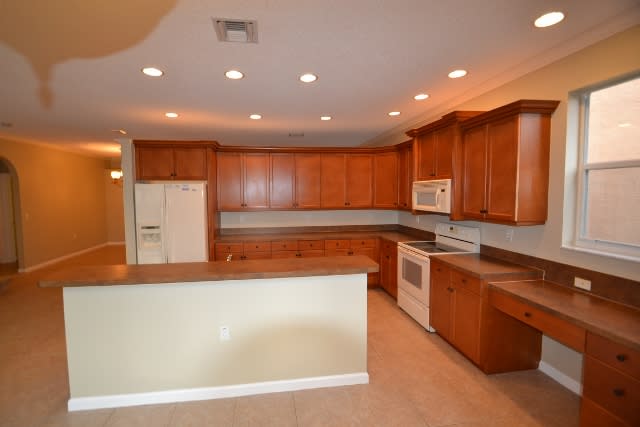 1461 Running Oak Ct photo 4