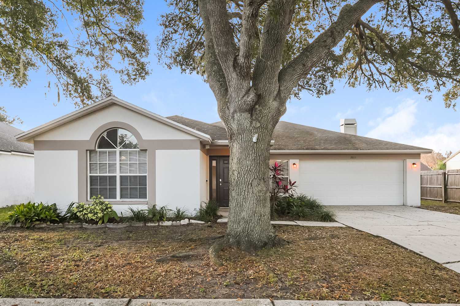 1803 Landside Dr photo 3