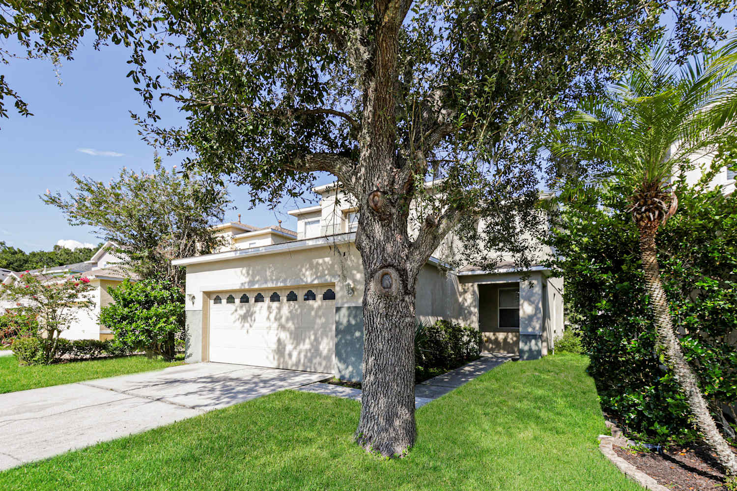 2404 Spring Hollow Loop photo 2