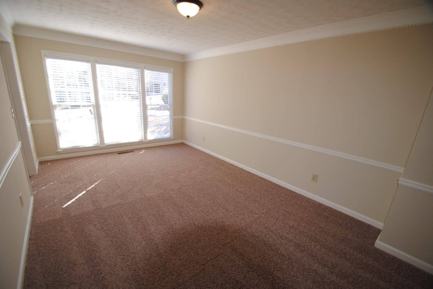 941 David Dr photo 3