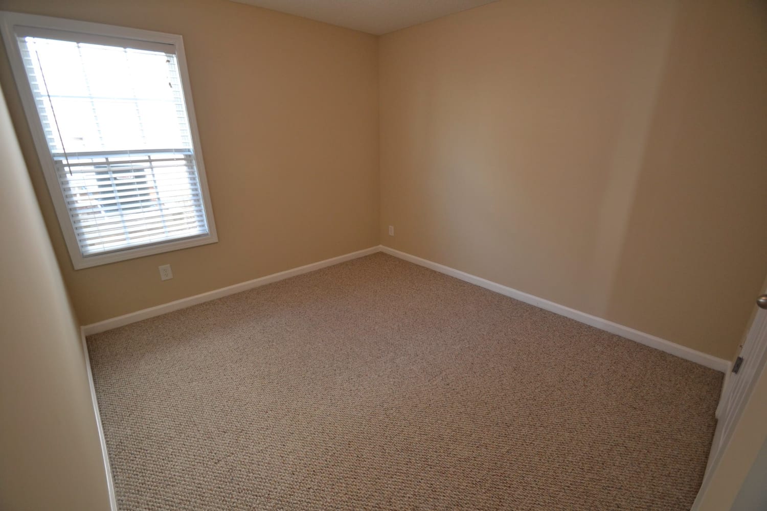 281 Rosemont Ct photo 5