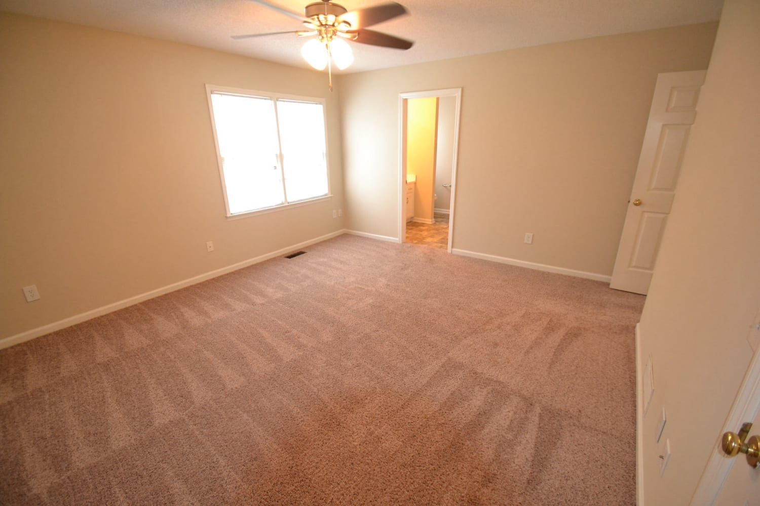 4902 Muirwood Dr photo 4