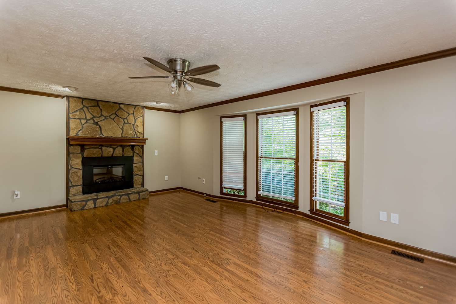 106 Remington Ct photo 5