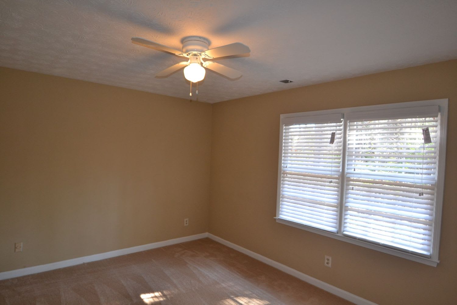 2350 Ciji Cir photo 4