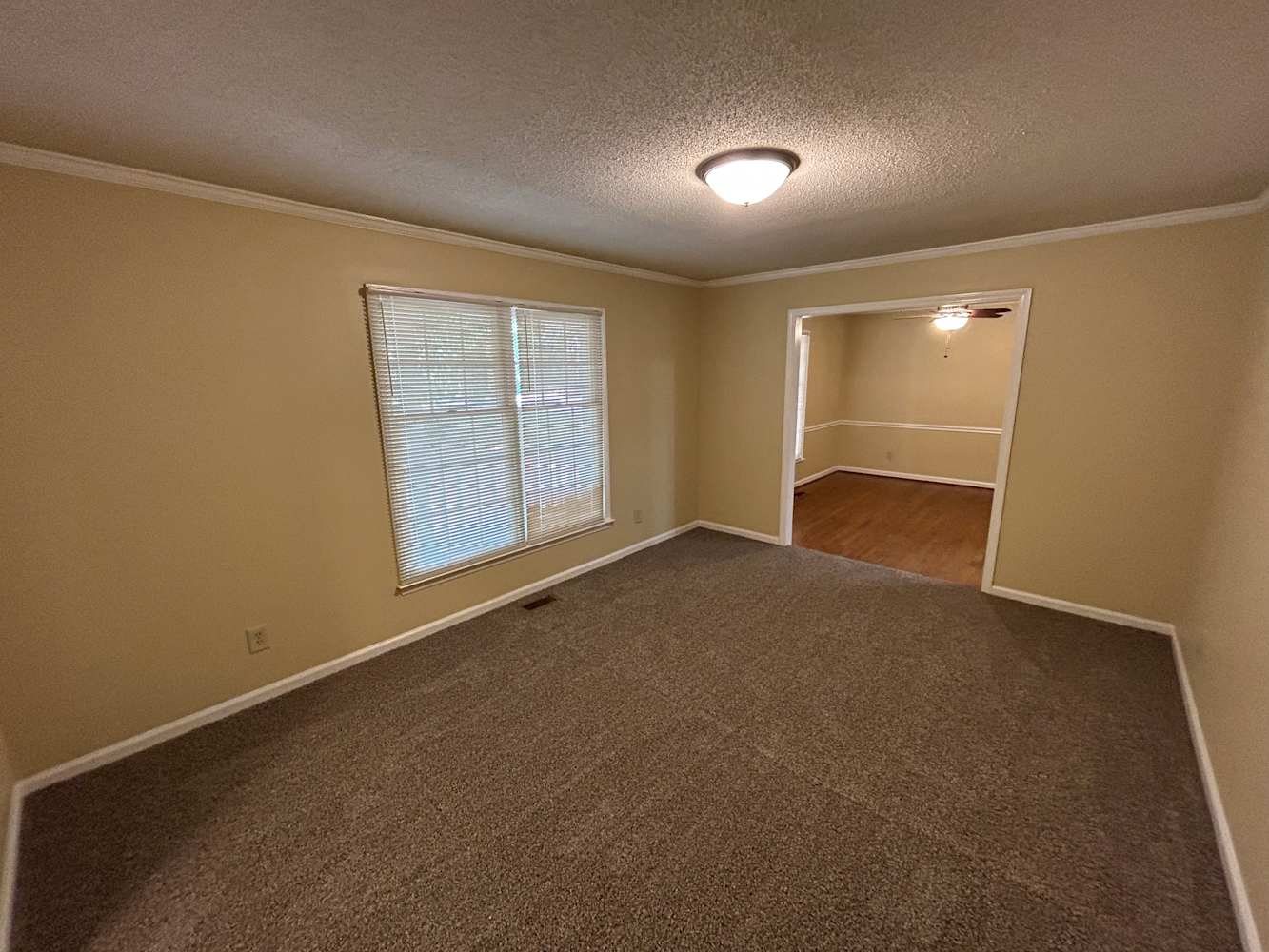 3309 Clay Court Dr photo 4