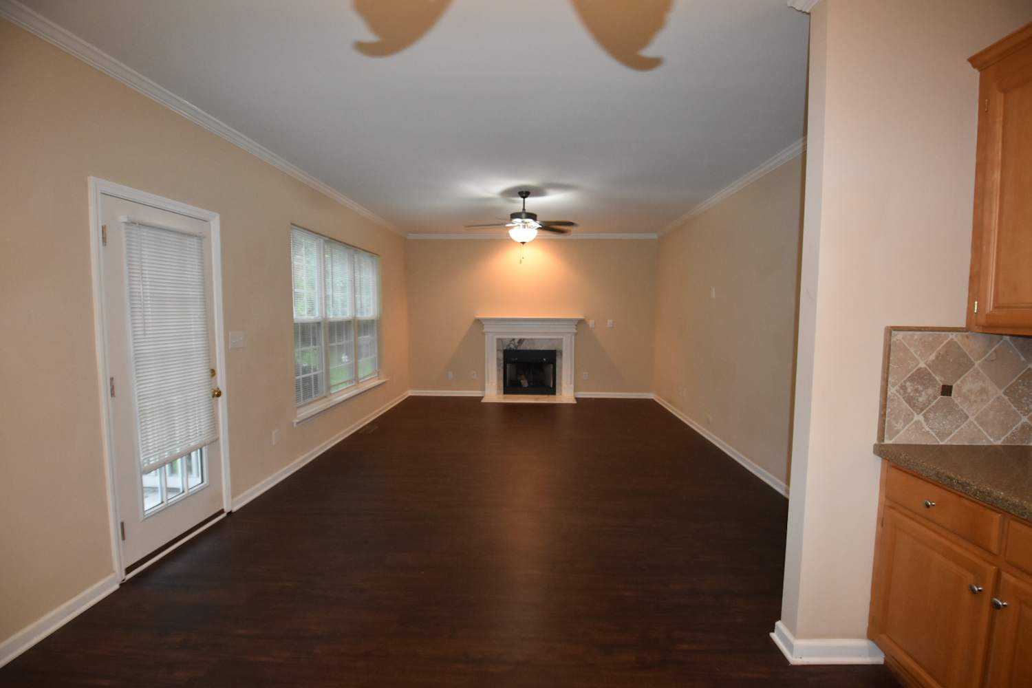 12515 Ivey Creek Dr photo 3