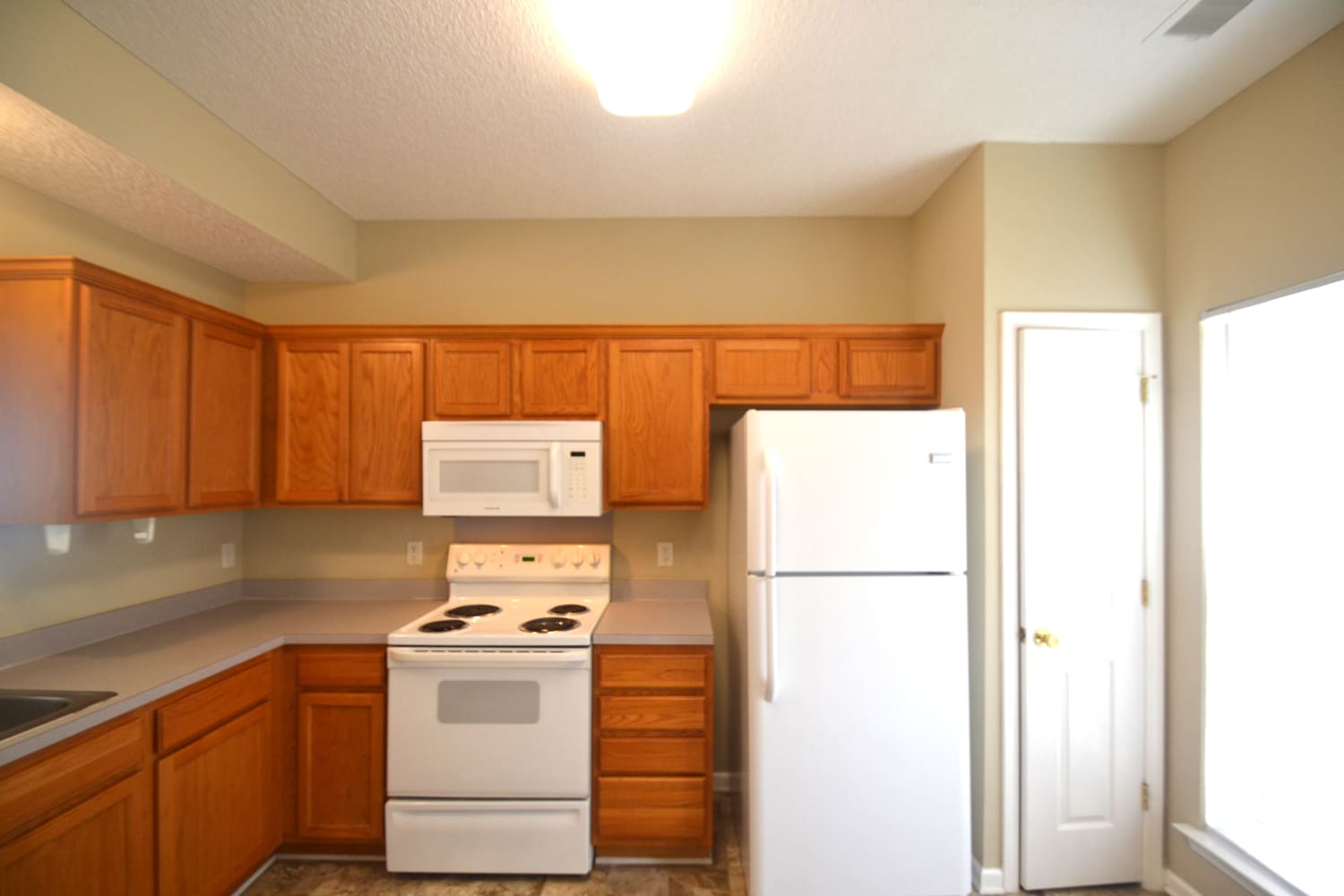 1013 Salmon River Dr photo 4