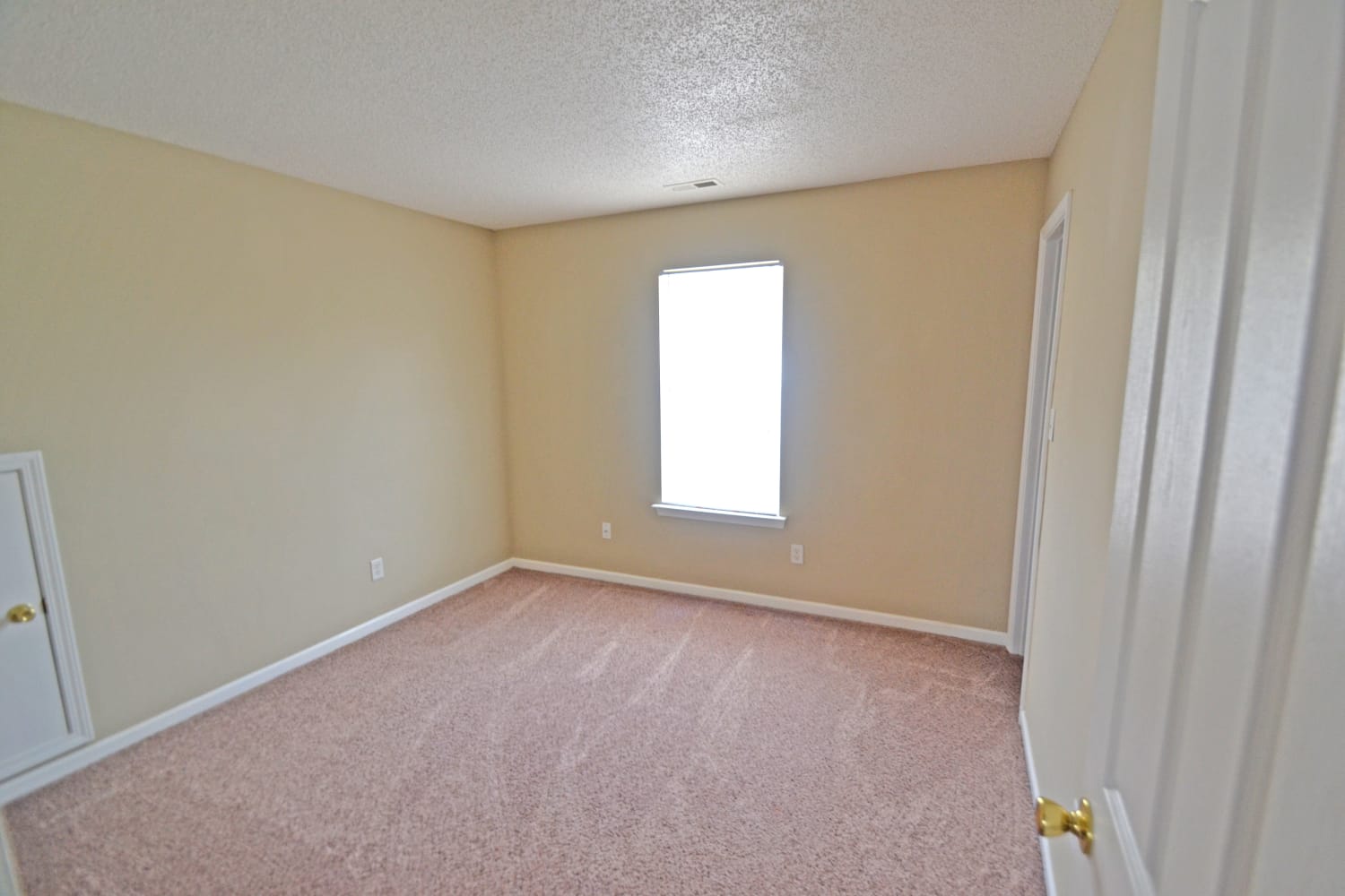1013 Salmon River Dr photo 5