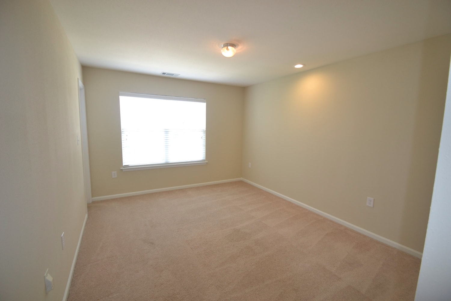 3923 Damask Dr photo 5