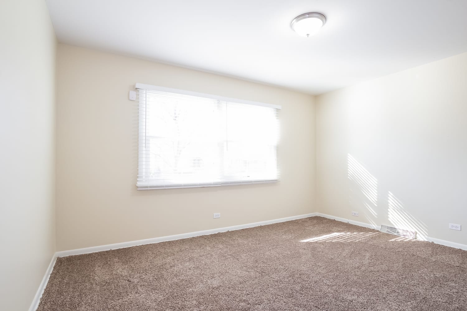 423 N Park Dr photo 5