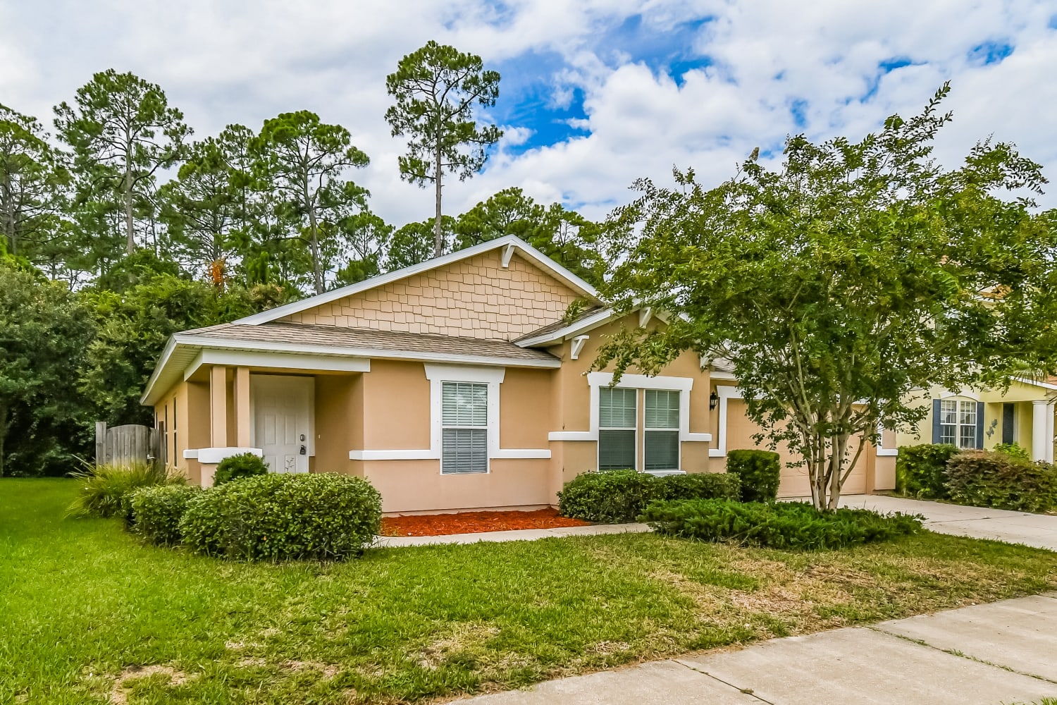 12628 Pine Marsh Way photo 3