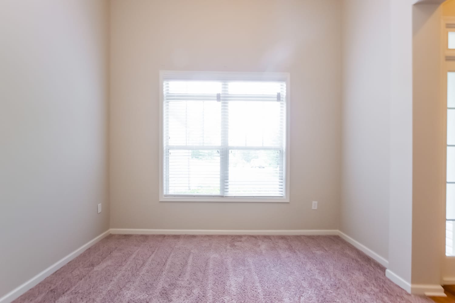 229 Meadow Pt photo 4