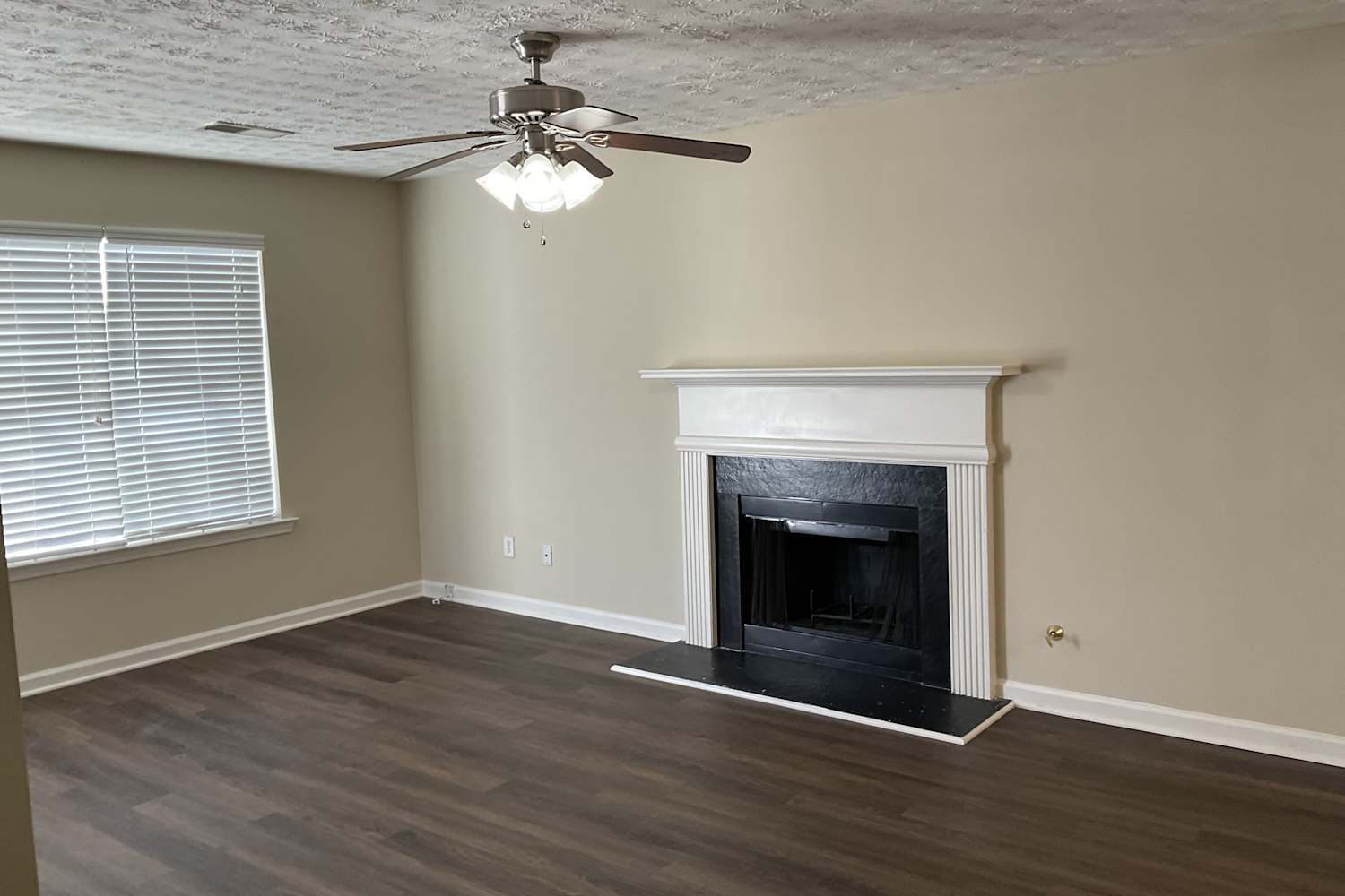 3907 Brandon Lee Way photo 2
