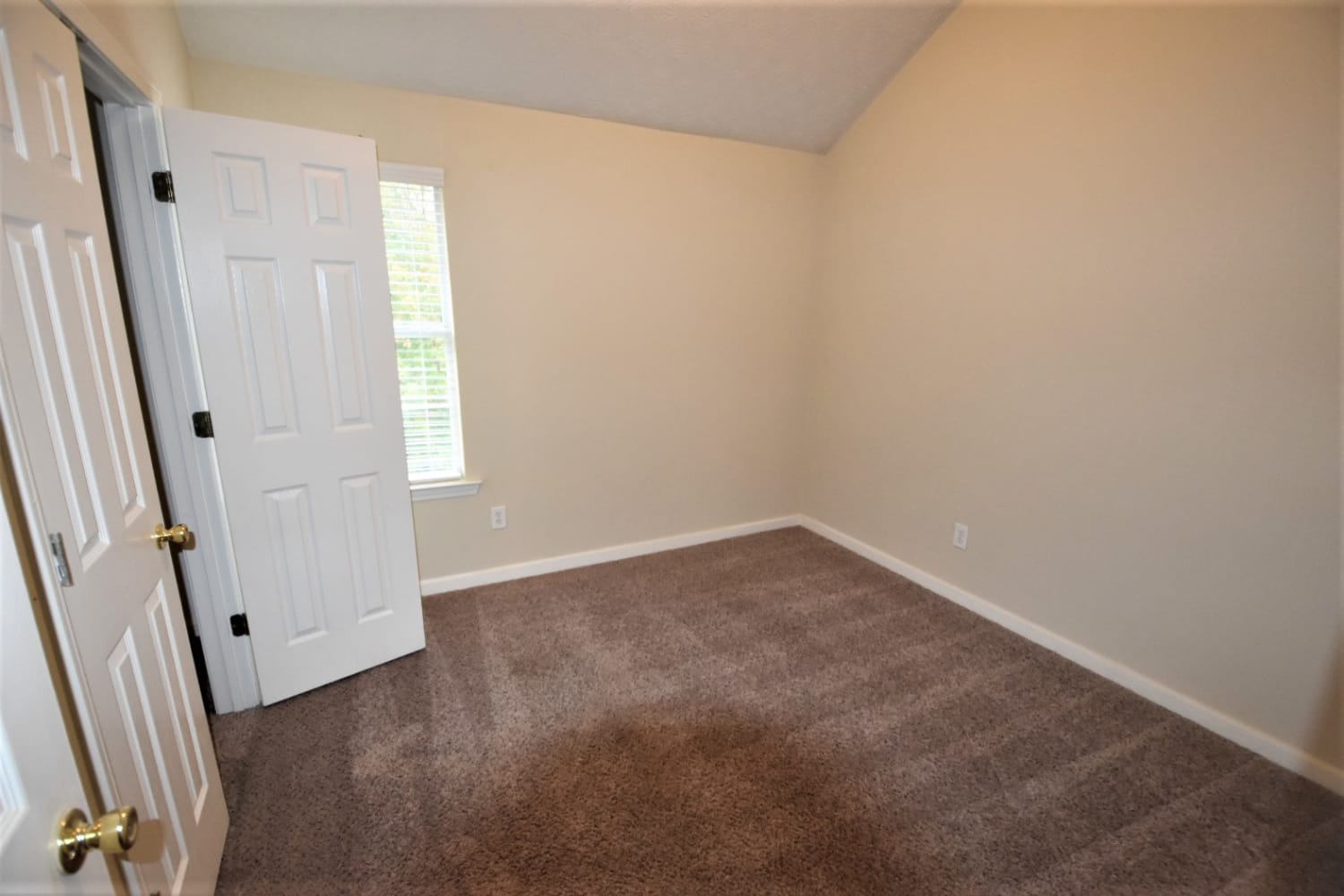 3907 Brandon Lee Way photo 5