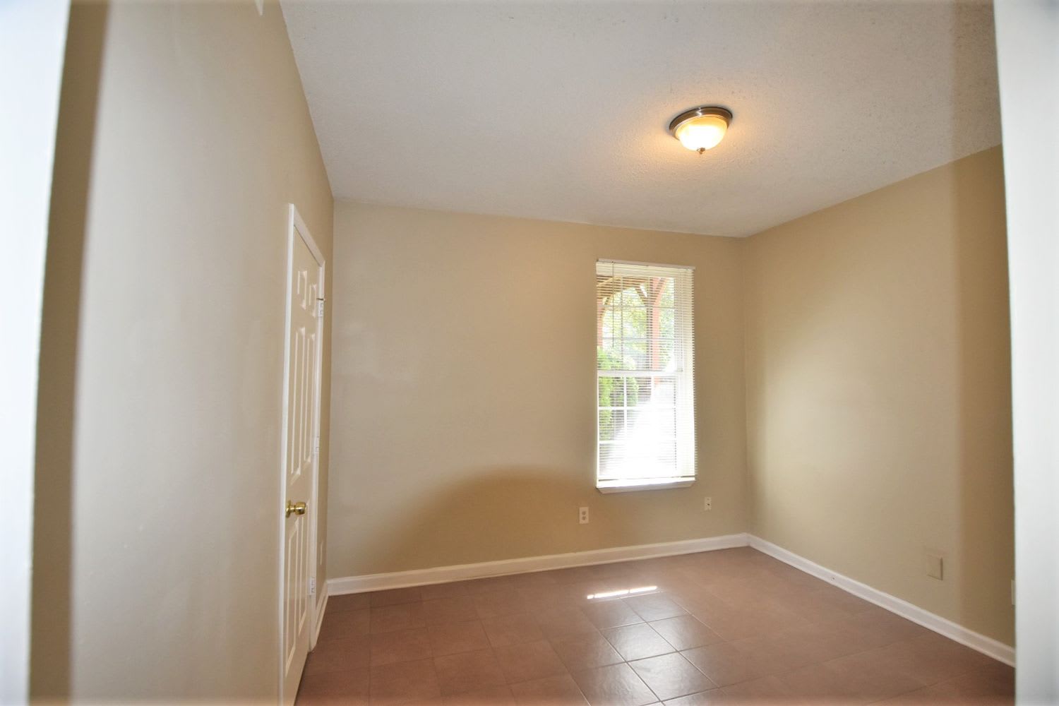 4149 Mistymorn Way photo 3