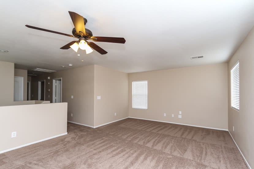 4130 Pistachio Nut Ave photo 3