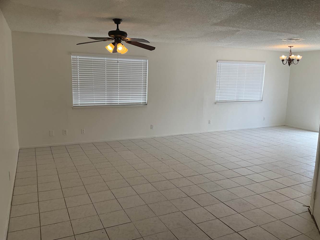 901 Calico Hills Ct photo 3