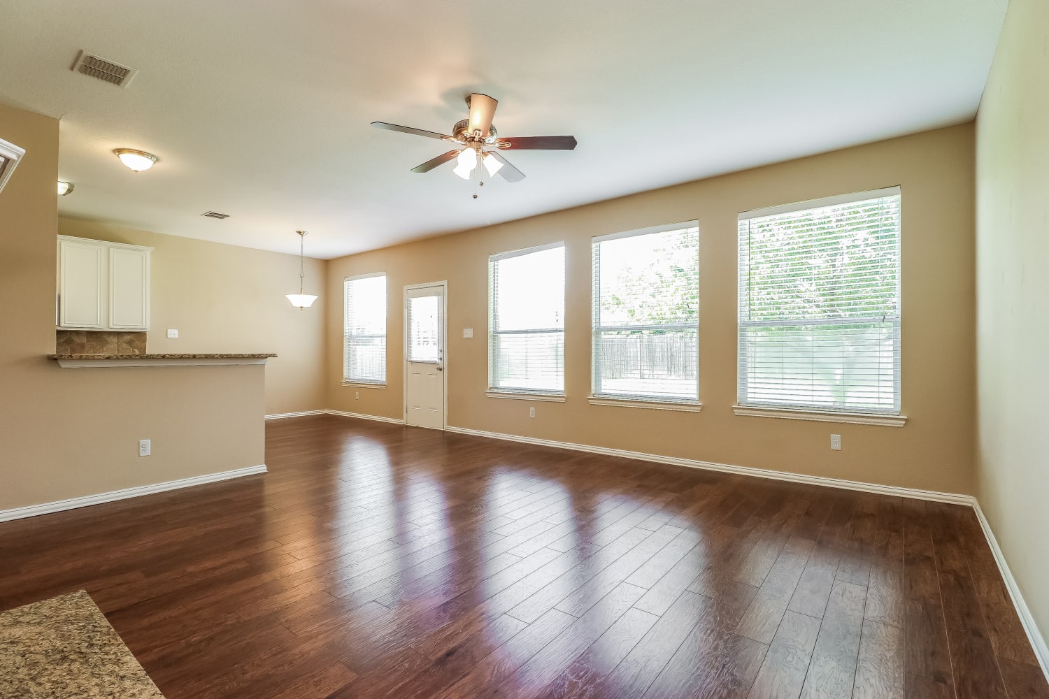 5204 Selago Dr photo 5