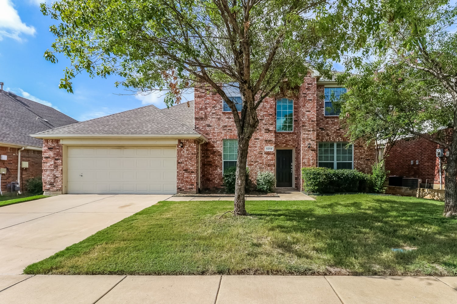 5204 Selago Dr photo 2