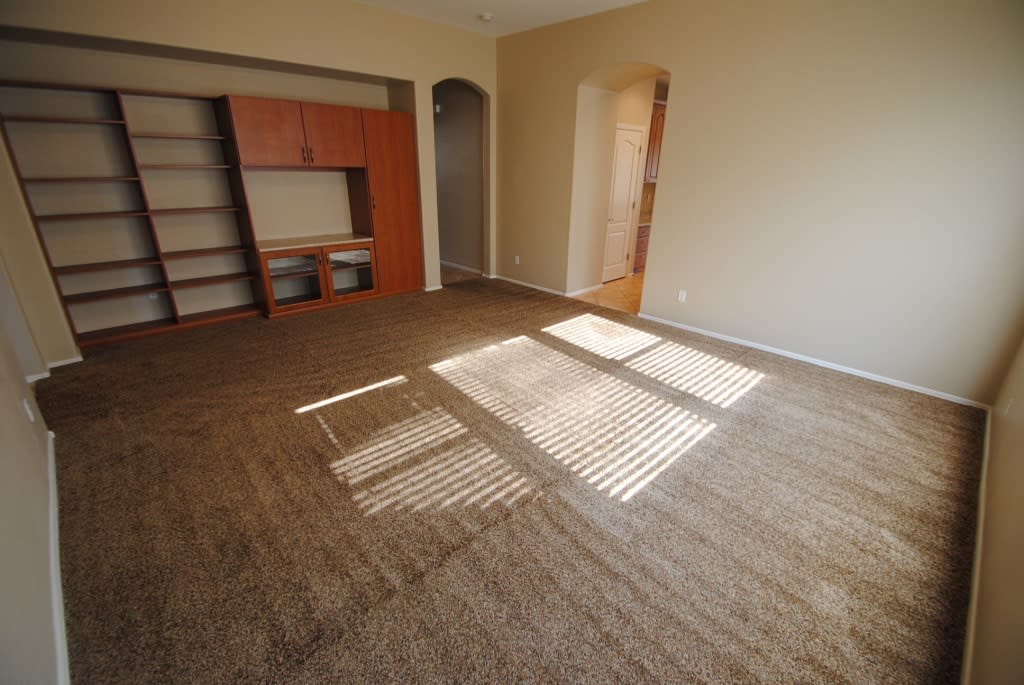 11463 East Starkey Avenue Mesa, AZ 85212 photo 5