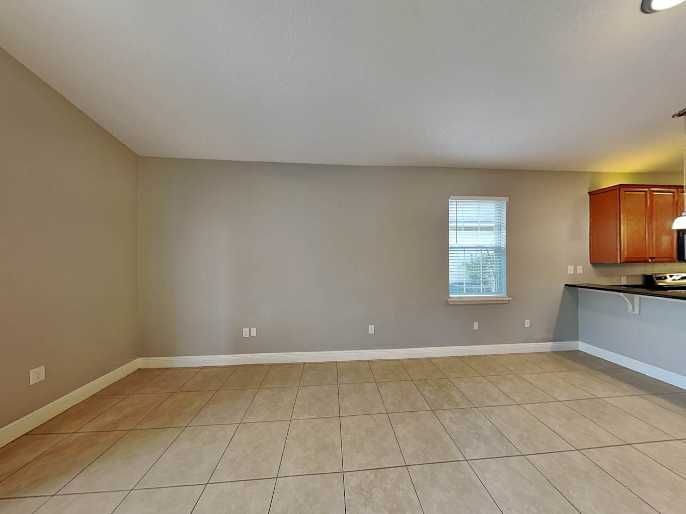 550 Hibiscus Cove Dr photo 3