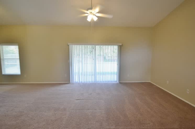 435 Country Wood Cir photo 3