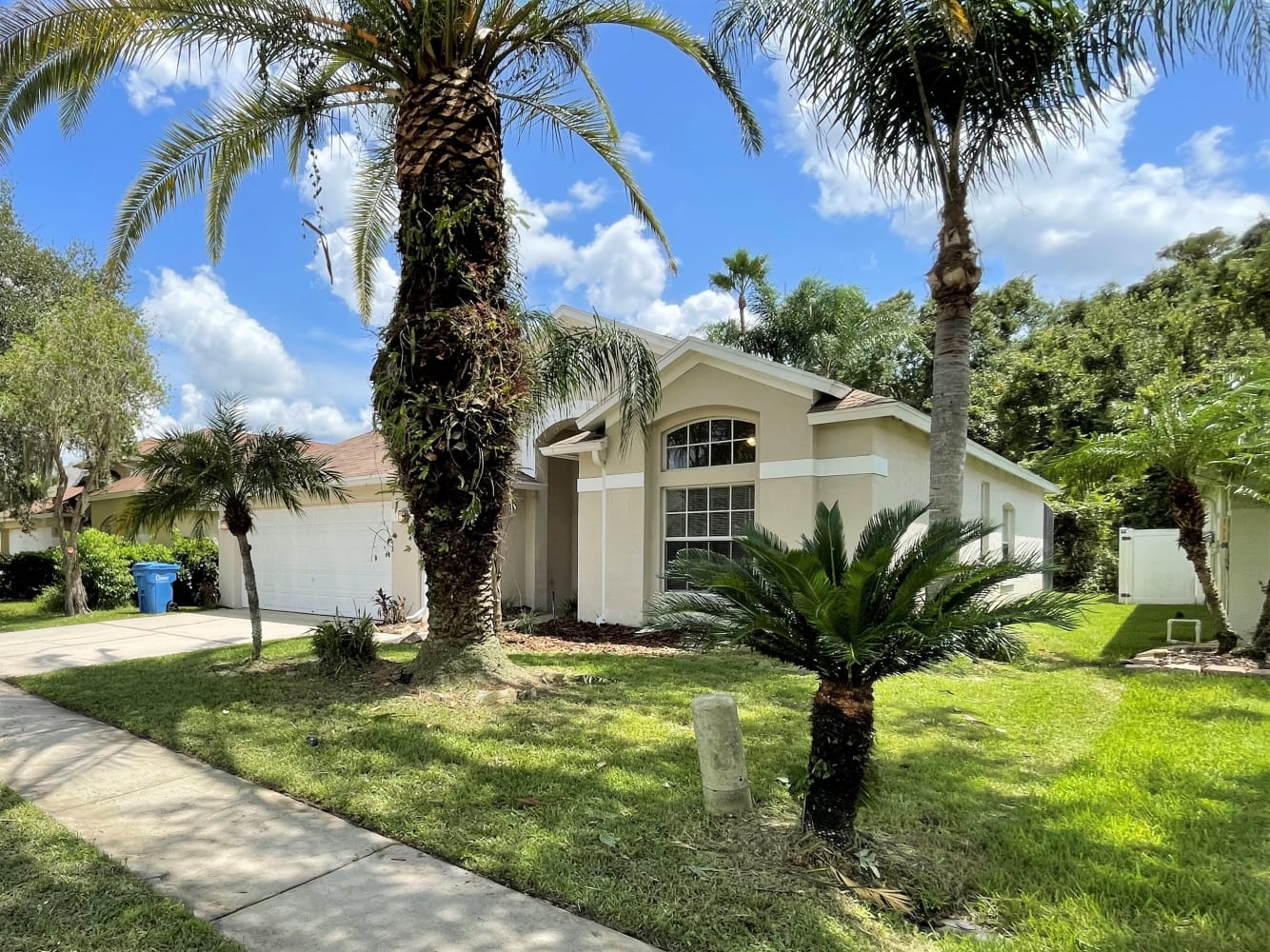 29242 Birds Eye Dr photo 2