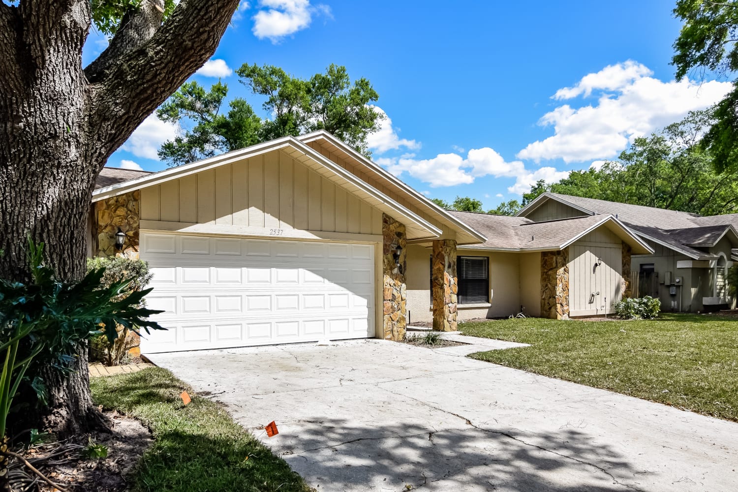 2537 Arborwood Dr photo 3