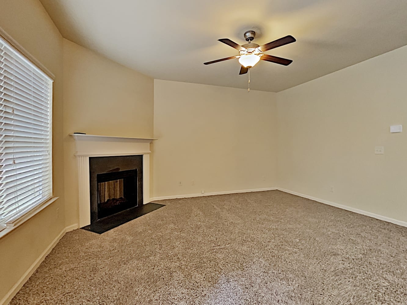 906 Grenier Ter photo 5