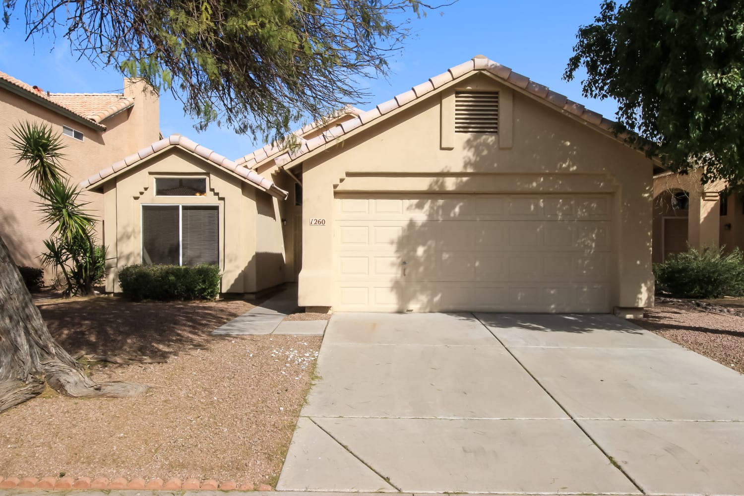 1260 E Cindy St Chandler, AZ 85225 photo 2