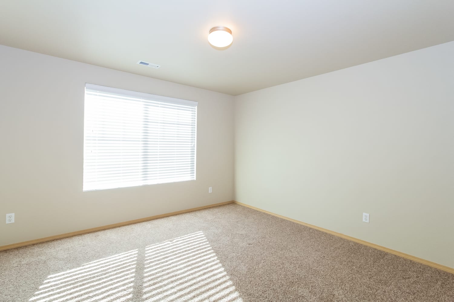7325 178th Street Ct E photo 5