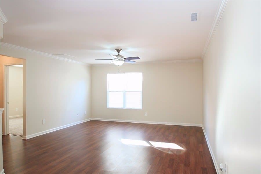 2406 Ferdinand Dr photo 3