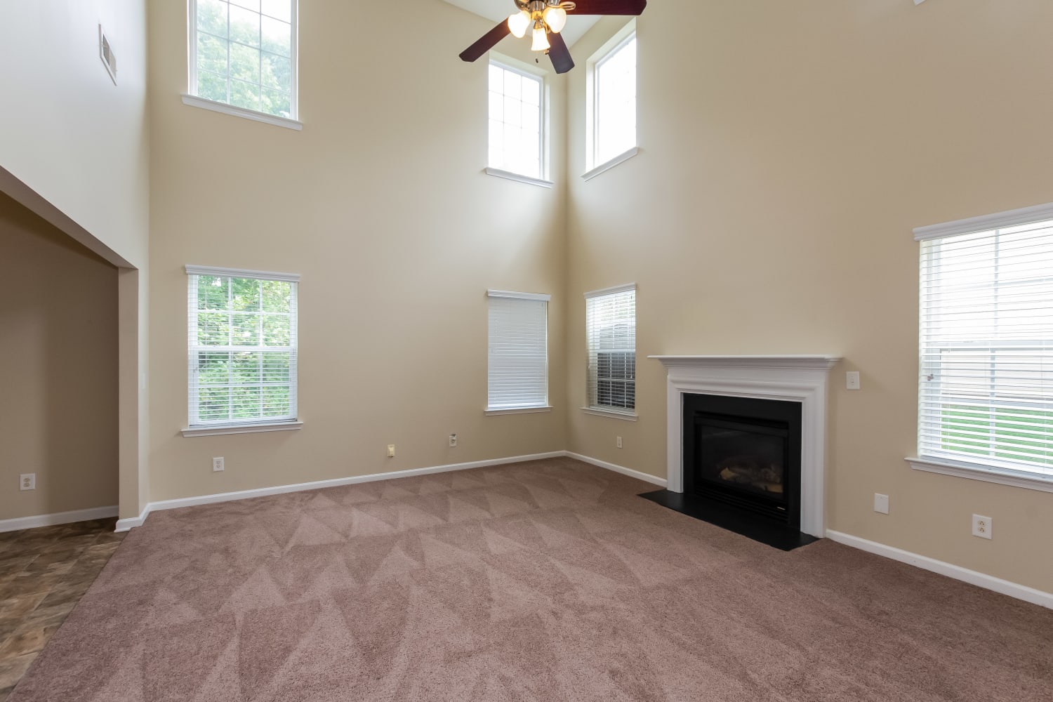 12132 Palomar Dr photo 4