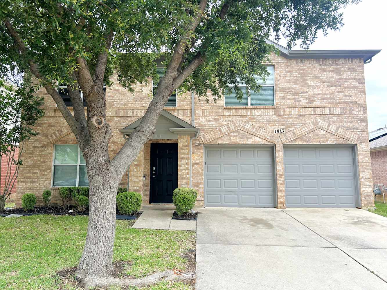 1813 Desperado Rd photo 4