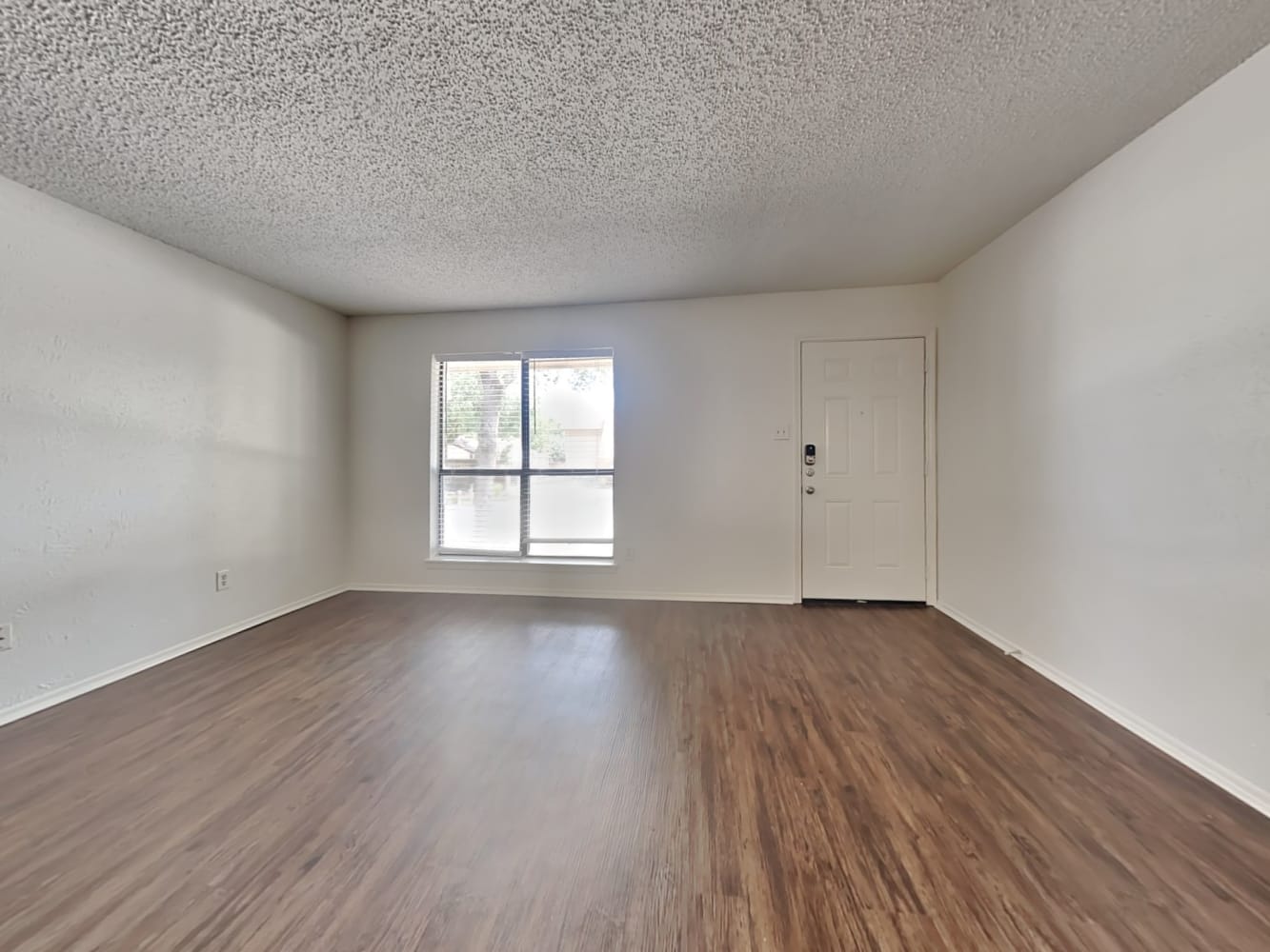 717 Holly Oak Dr photo 3